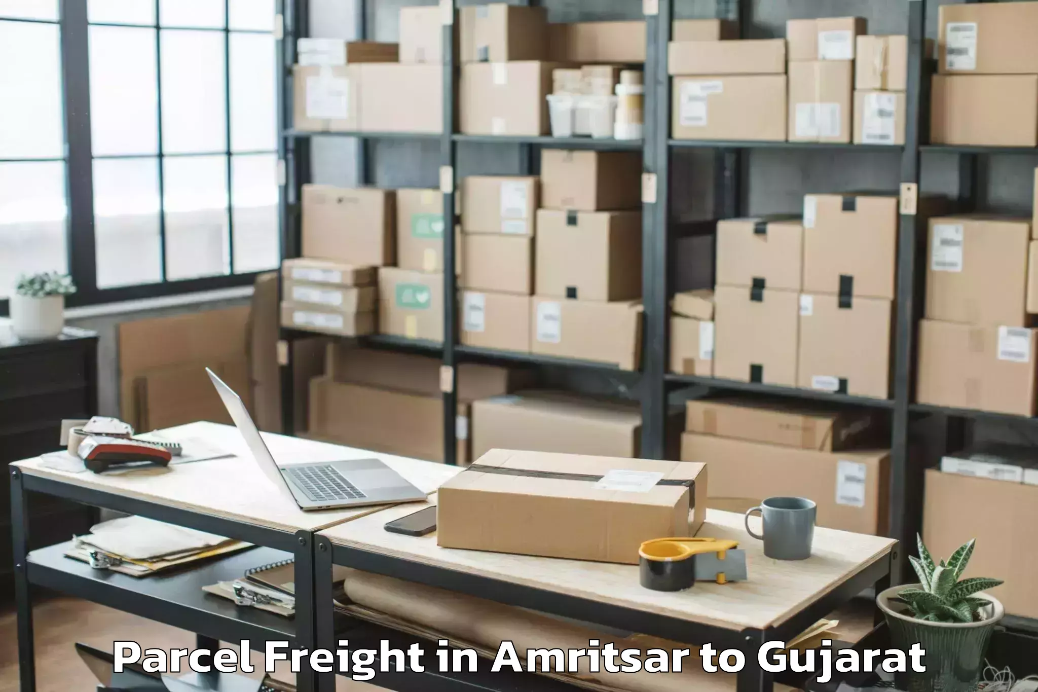 Leading Amritsar to Uka Tarsadia University Bardol Parcel Freight Provider